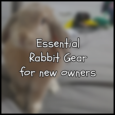 New Rabbit Owner supplies