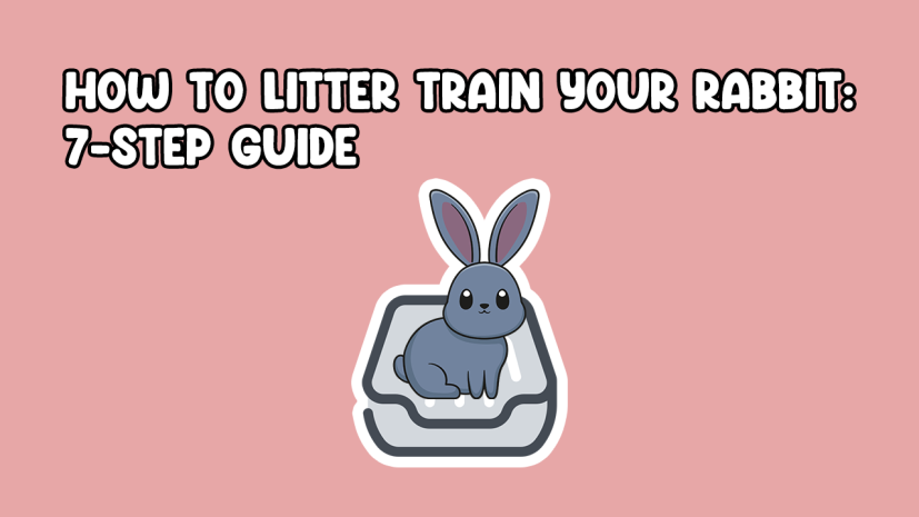 How to litter train your rabbit