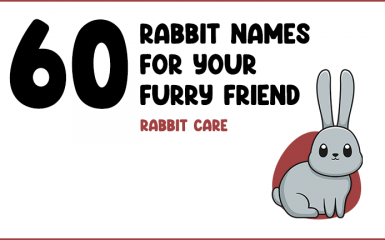 60 Rabbit Names