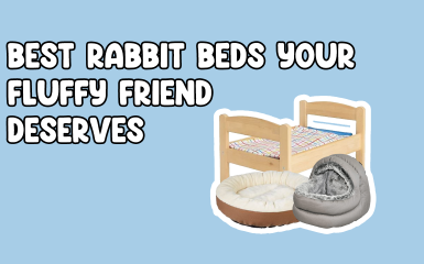 Best Beds for rabbits