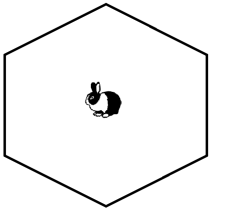 Wire Run Diagram for Rabbits