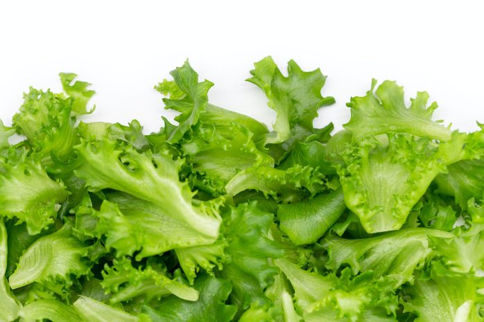 Photo of Lettuce