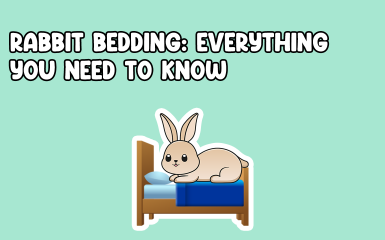 Rabbit Bedding