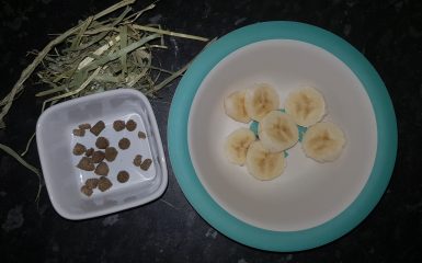 Banana Skewer Ingredients for rabbits