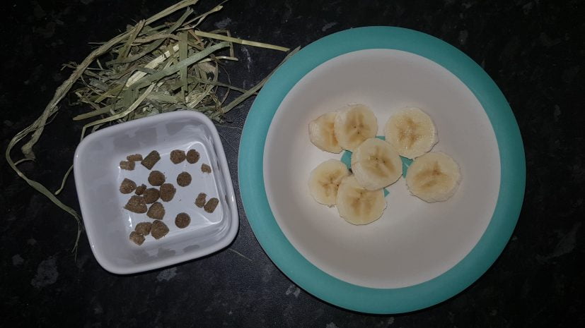 Banana Skewer Ingredients for rabbits