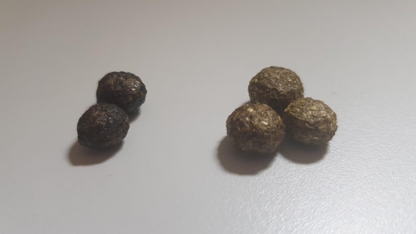 Unhealthy vs Healthy rabbit poo