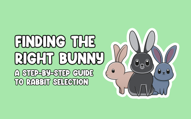 Finding the Right Bunny