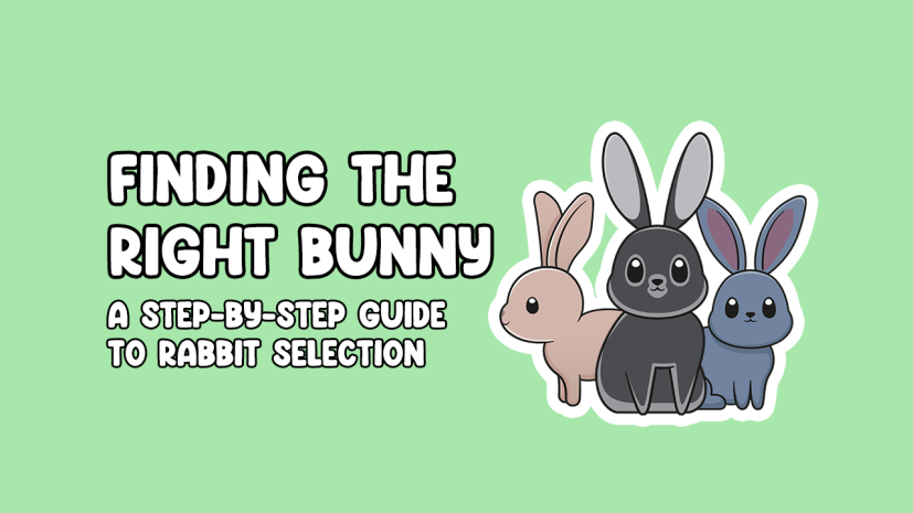 Finding the Right Bunny