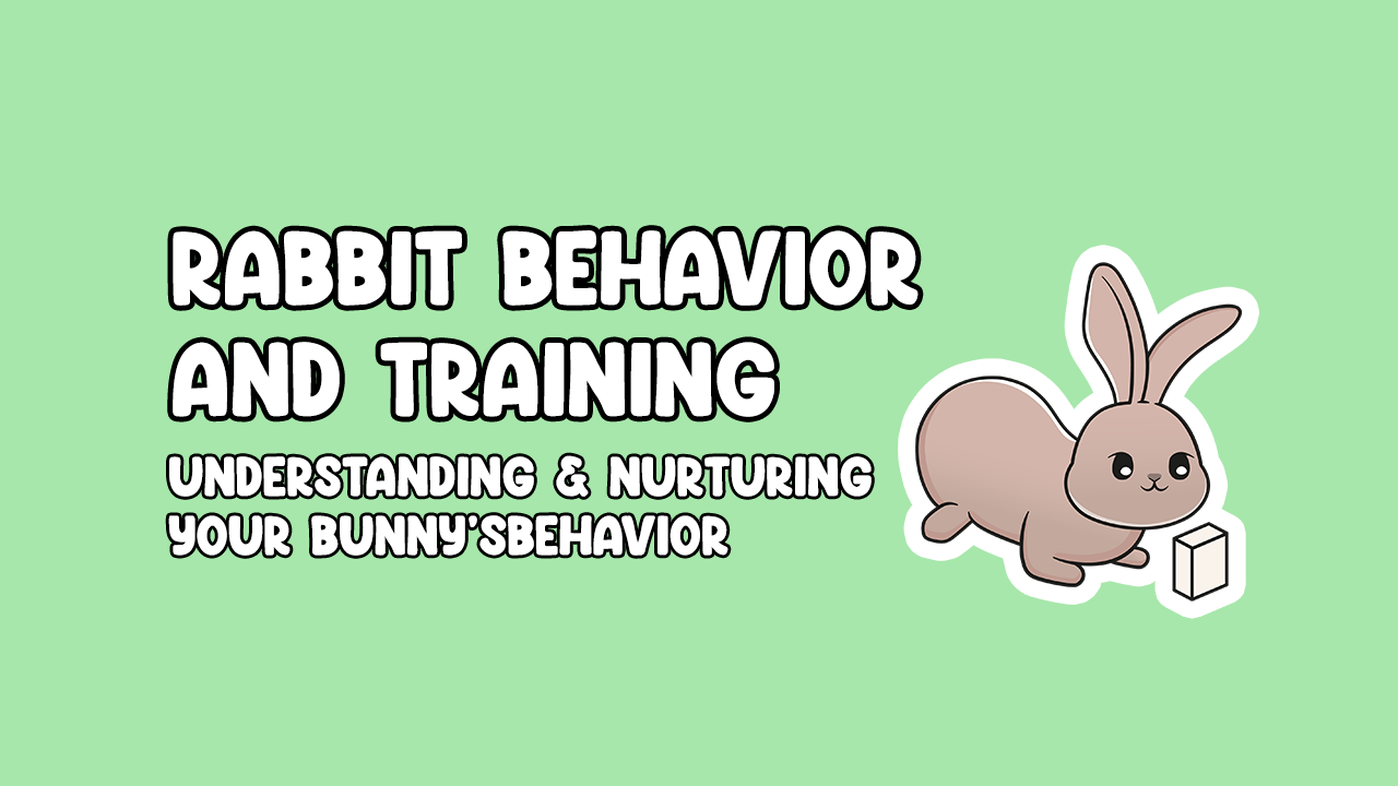 Rabbit Behavior and Training: Understanding and Nurturing Your Bunny's ...