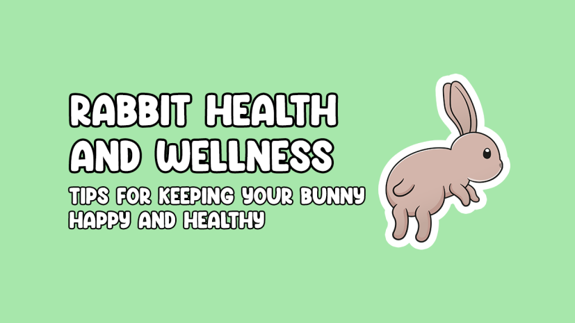 Rabbit Health and Wellness