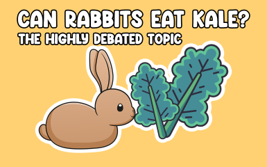 Can Rabbits Eat Kale