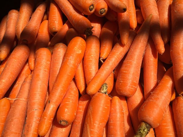 Bundle of Carrots