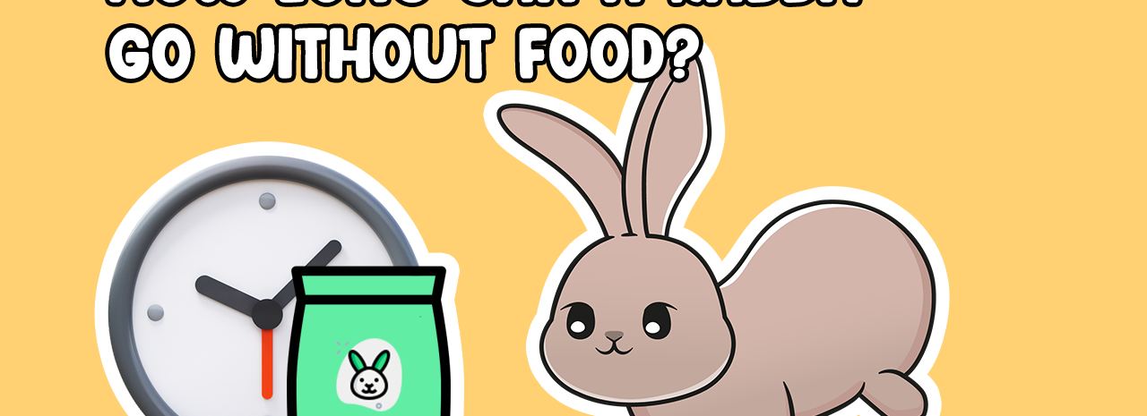 How Long can rabbits go without food