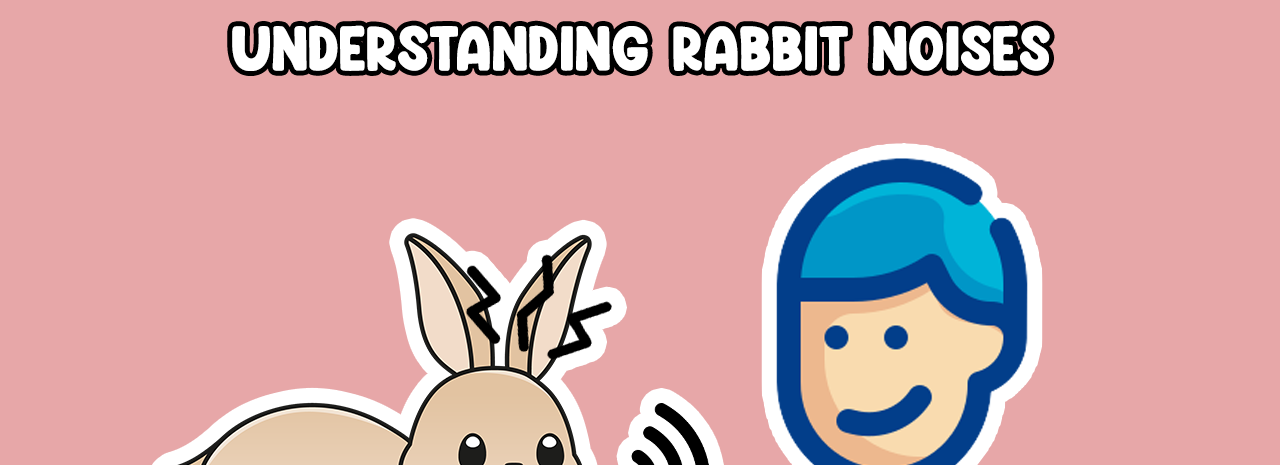 How to Speak Rabbit