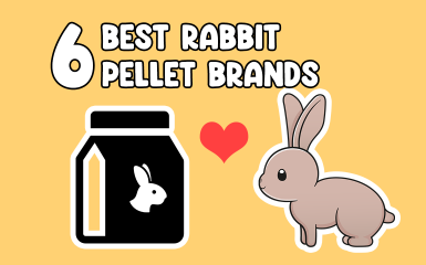 Best Rabbit Pellets