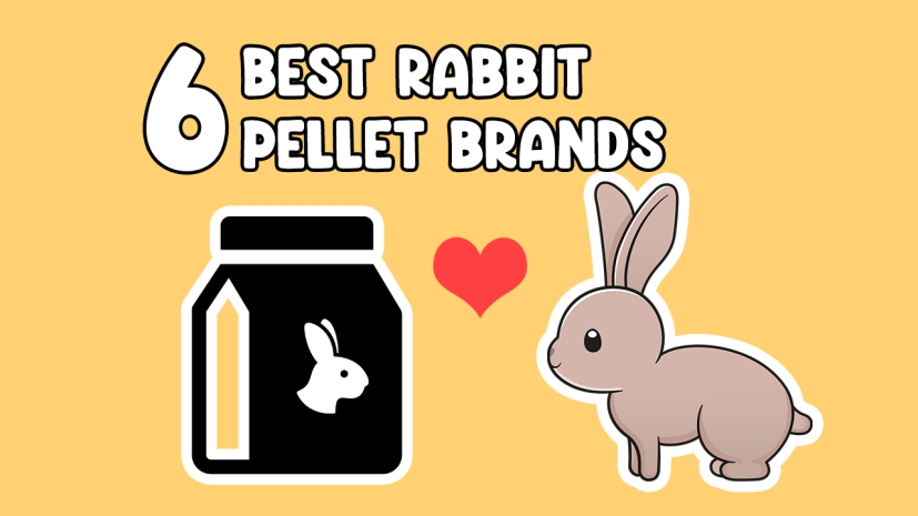 Best Rabbit Pellets