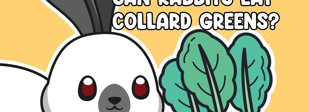 Can Rabbits Eat Collard Greens