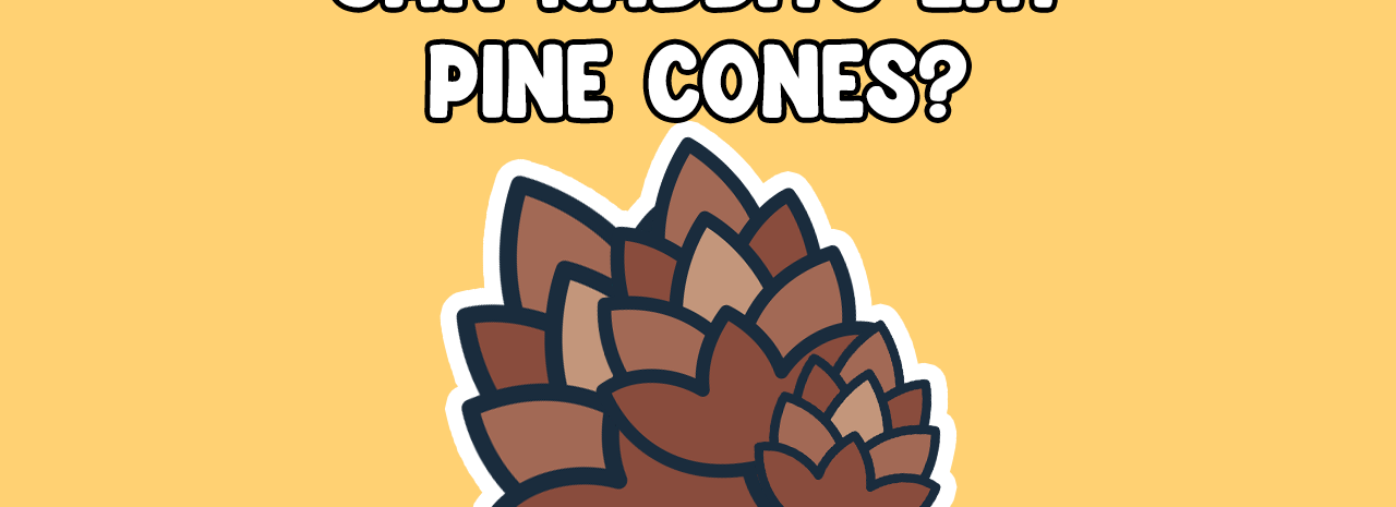 Can Rabbits Eat Pinecones