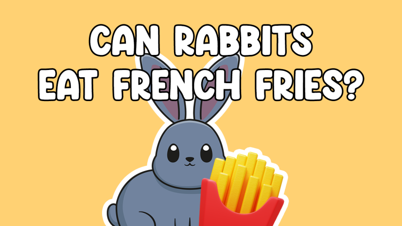 Can rabbits eat French fries