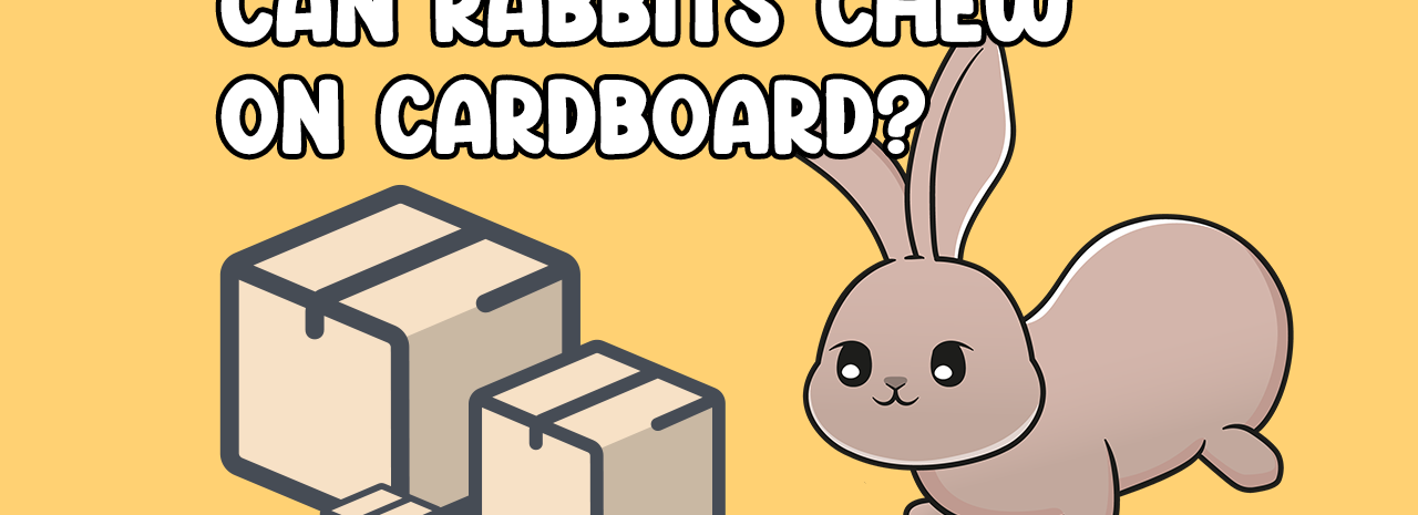 Can rabbits chew on cardboard?