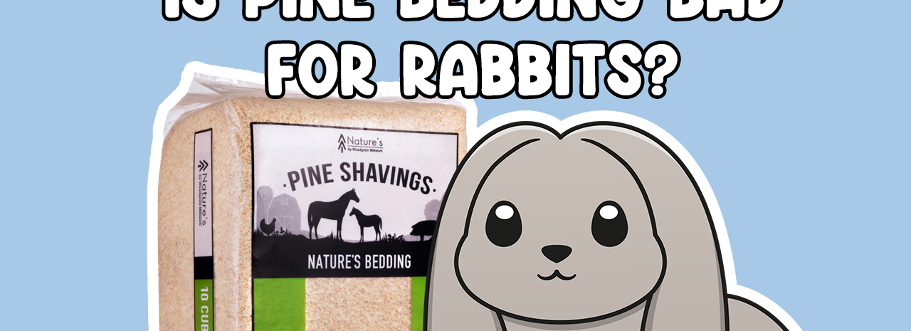 Is Pine Bedding Bad For Rabbits