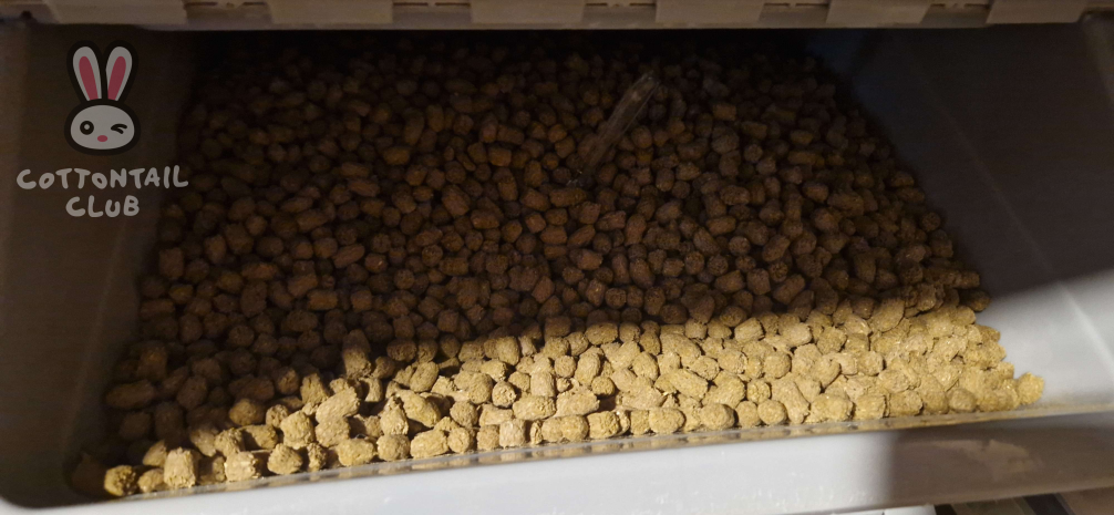 Rabbit pellets inside a container