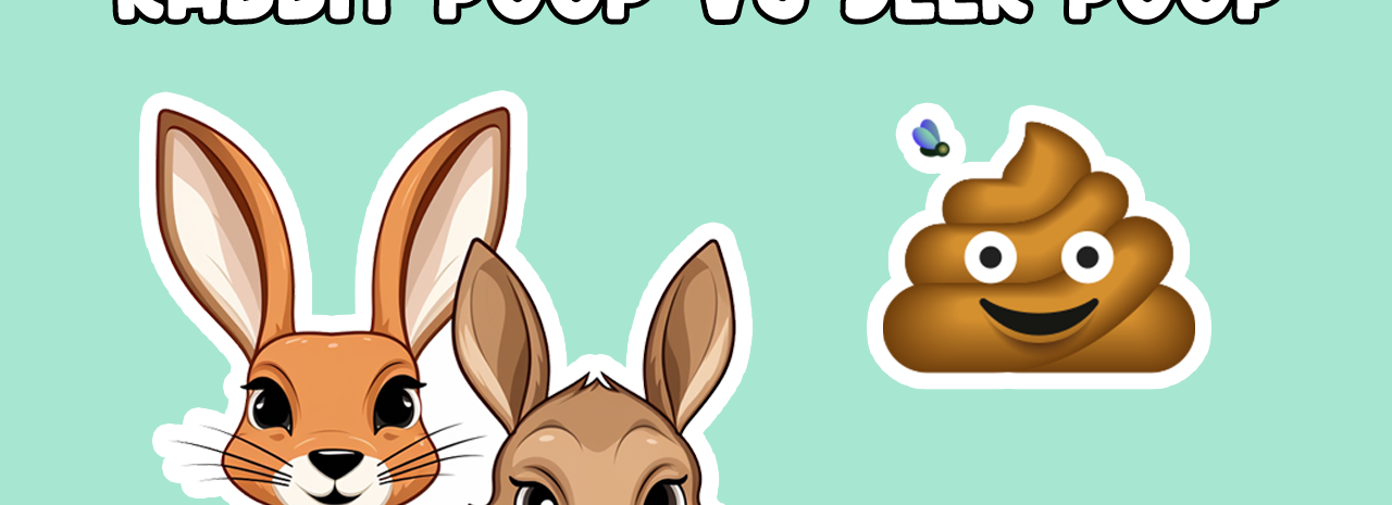 Rabbit Poop vs Deer Poop