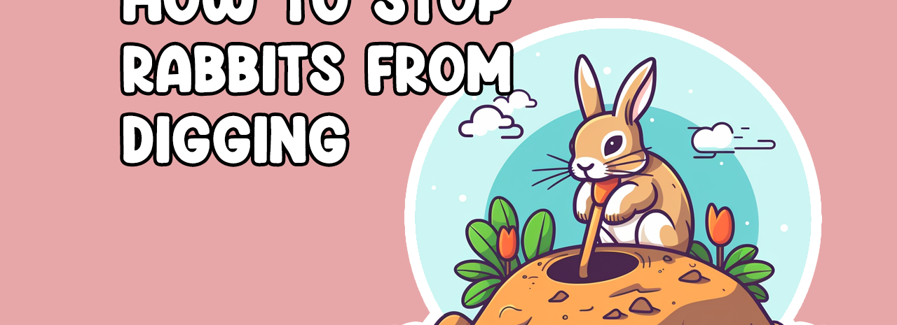 Stop rabbits from digging